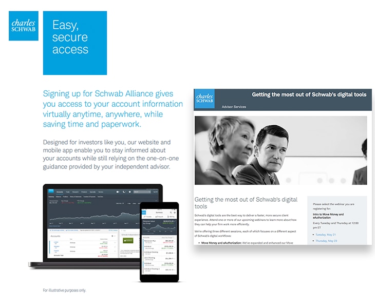 Overview: Schwab Alliance