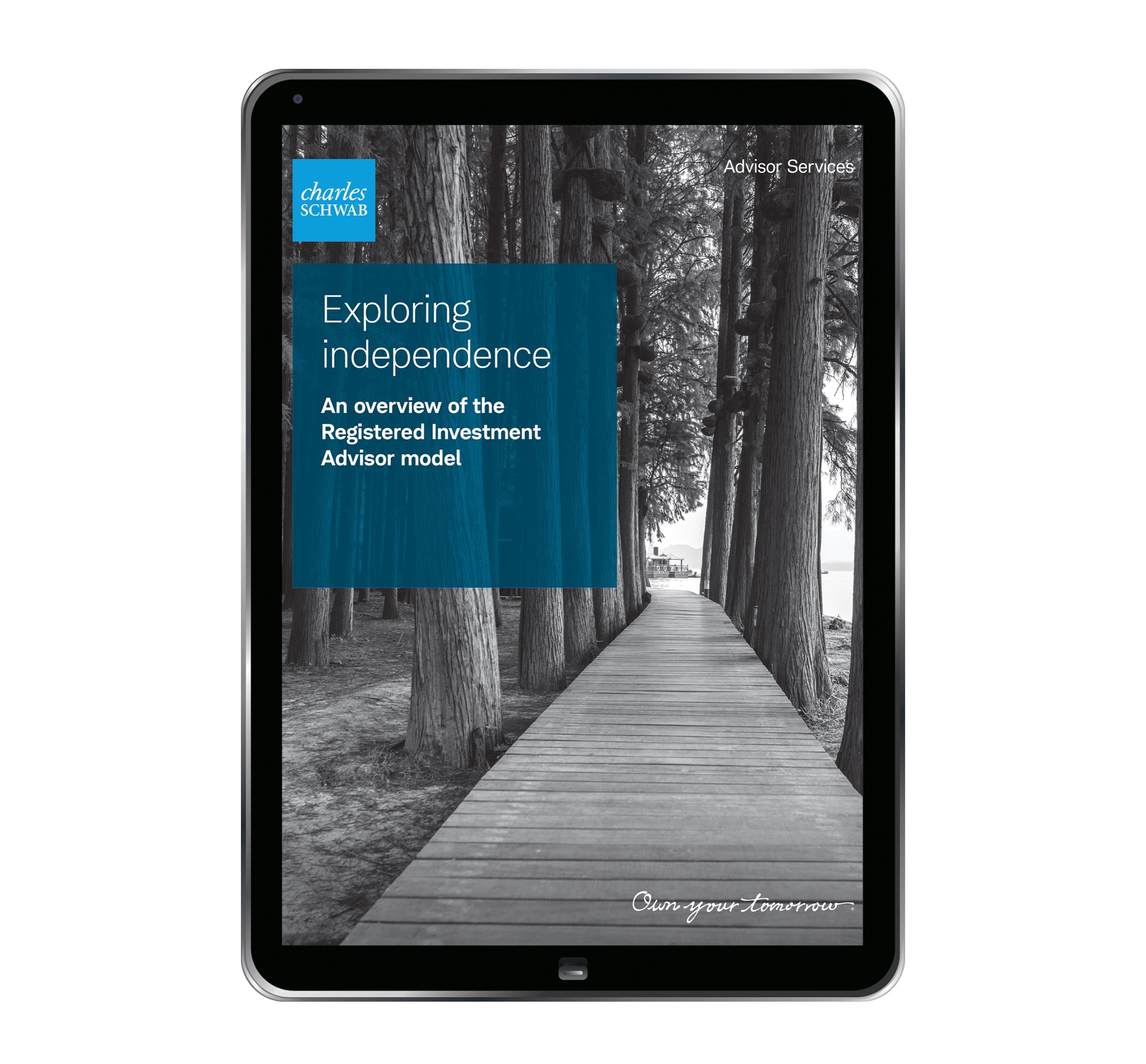 Cover of “Exploring independence: An overview of the registered investment advisor model”