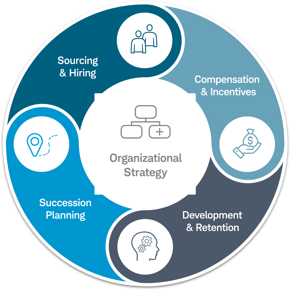 Circular graphic of the cycle of opportunity, which includes Sourcing and Hiring, Organizational Strategy, Compensation and Incentives, Development and Retention, and Succession Planning.